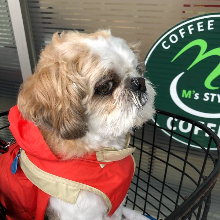 70f79f6d 1d24 475b 9f94 ef125fc80a01 1595195080413