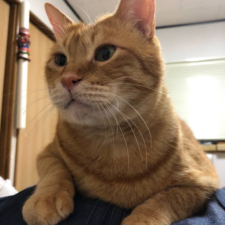 70f7afe8 7a99 4c15 9d99 fae891e849e2 1619444062329