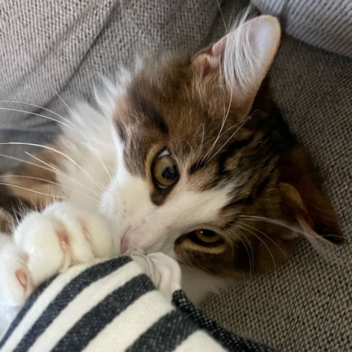 70f7b13a 3280 49f3 b932 3c5a2b74e047 1636796414695