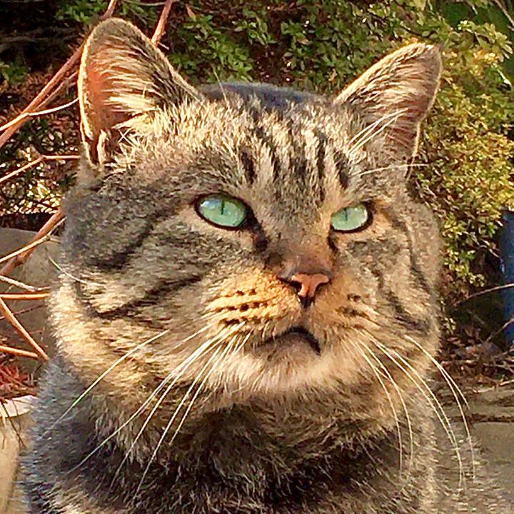 70f7bb84 5c64 418b 803a 7430e5467f5c 1611641023071