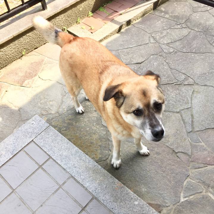 70f7be0b c0d8 4e45 bec1 ce808e6e8d45 1526431227335