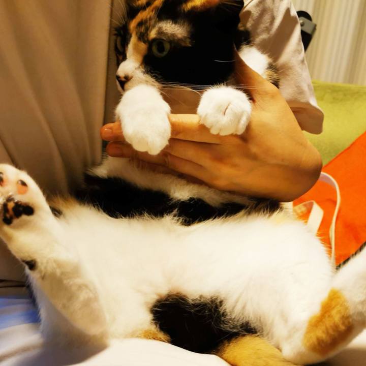 70f7bf0d bcaf 441b b71c 574a3f8d0355 1659337084235