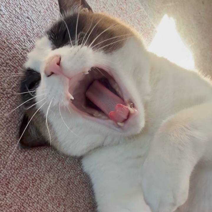 70f7e838 61da 436d 9da4 1a0e68fe50f3 1774098454731