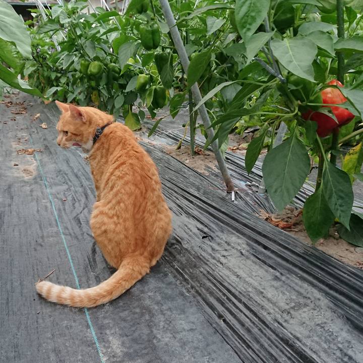 70f7e9f7 fc1b 4d73 82c5 7beb008cd7a2 1565348486908