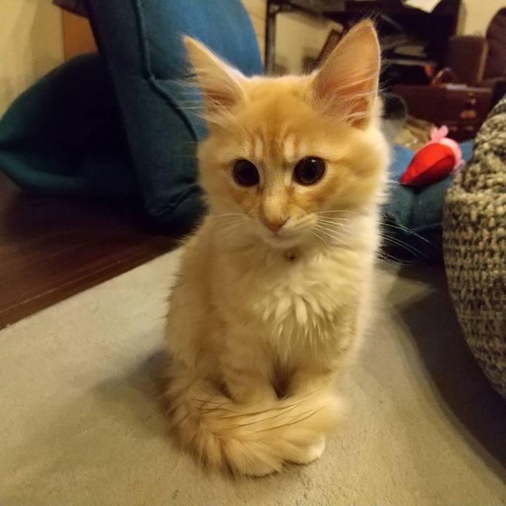 70f80a7c fc34 4fb6 9669 d868591561df 1606081522712