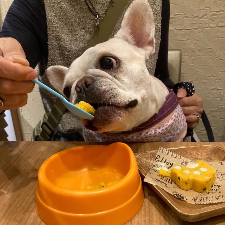 70f82f5f 0d02 4c2c b5d1 e539ebcc8913 1745912967093