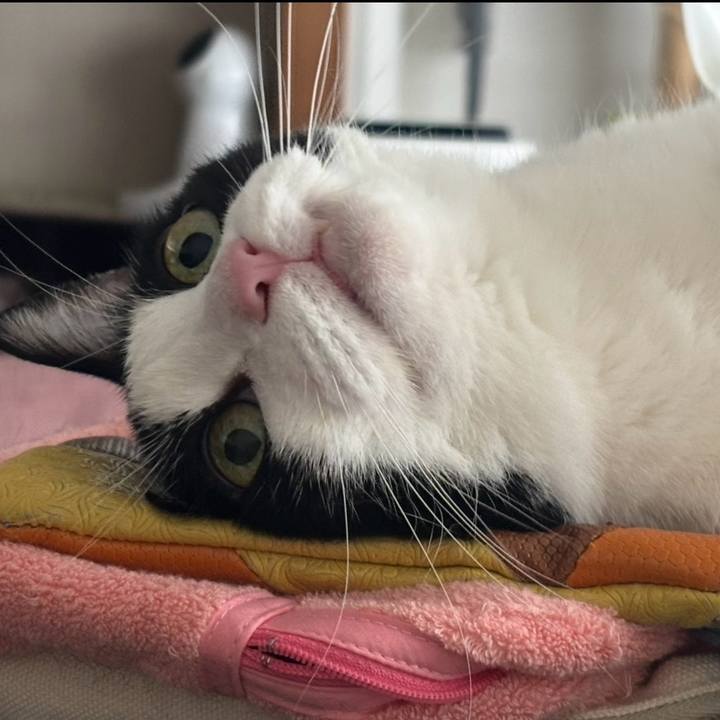 70f83608 82b0 498a 931e 3bcd16bc2443 1758154107962