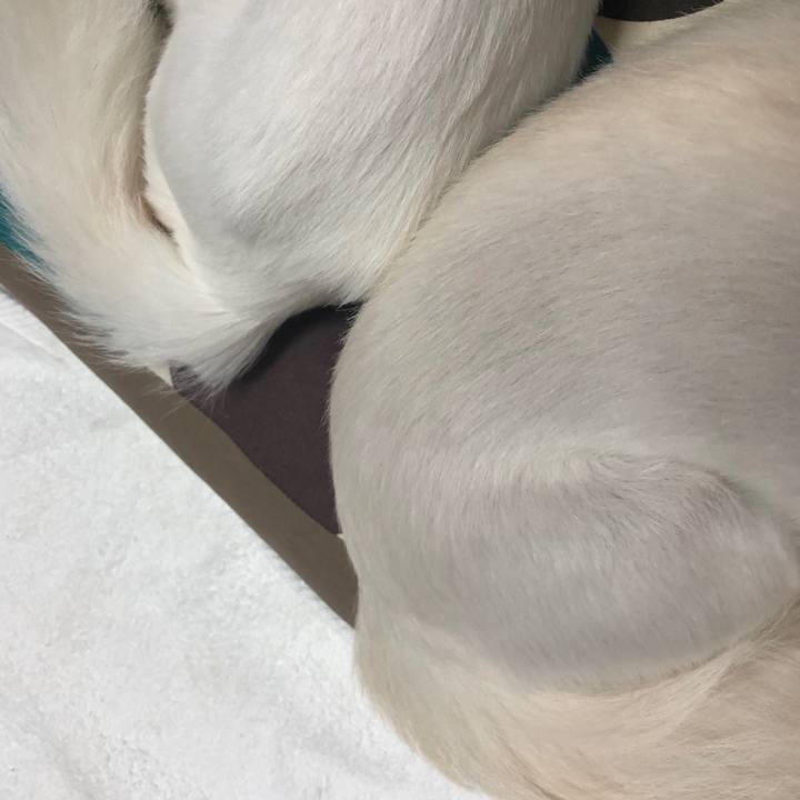 70f8399a 9683 4be8 99d2 96afd0558c09 1537796714156