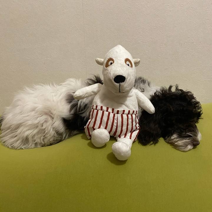 70f8782f 5db8 4970 8916 e358f43e00e6 1611379696334