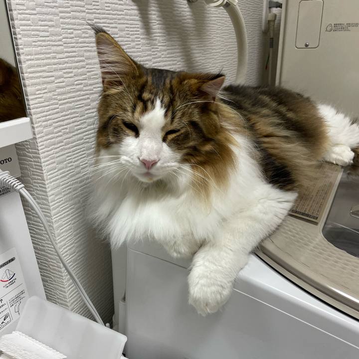 70f8a264 a52d 4c1e ba40 cdc83d60b815 1645359167327