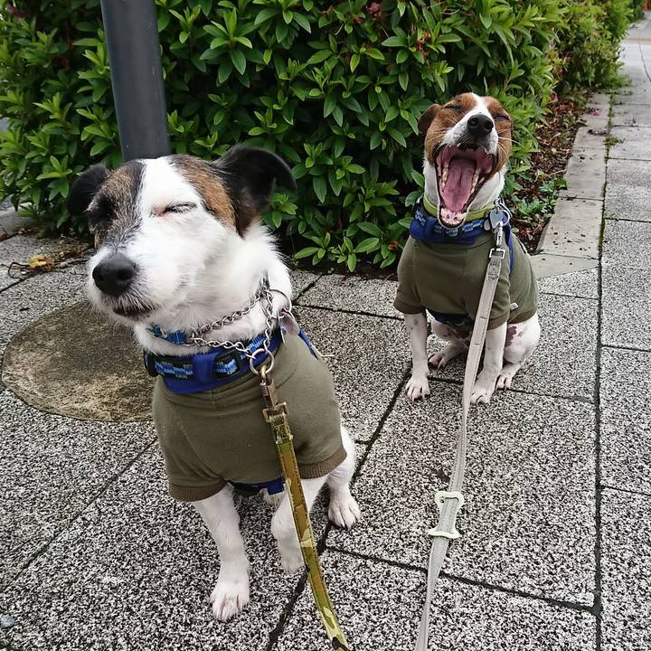 70f8cbd7 8f96 46a3 ac3c 3d662a93e551 1589933398085