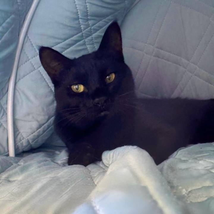 70f8cddf db6a 438a b26b 55080b5e3fe8 1751166824984