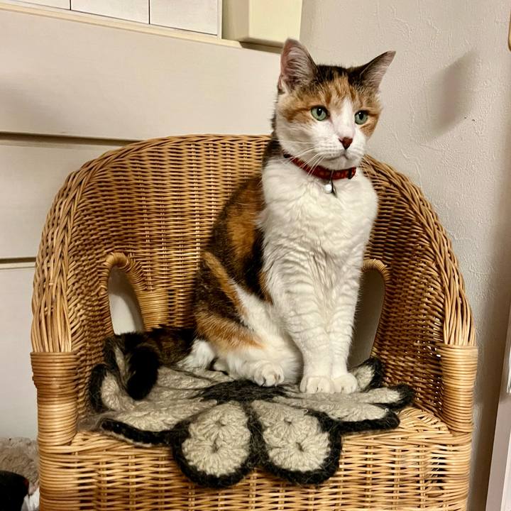 70f8f02a 9aa2 44cb 989f 9f277e002813 1686694323894