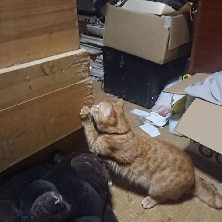 70f9198d b57e 4752 872e f4e1971bb0dc 1645304083833