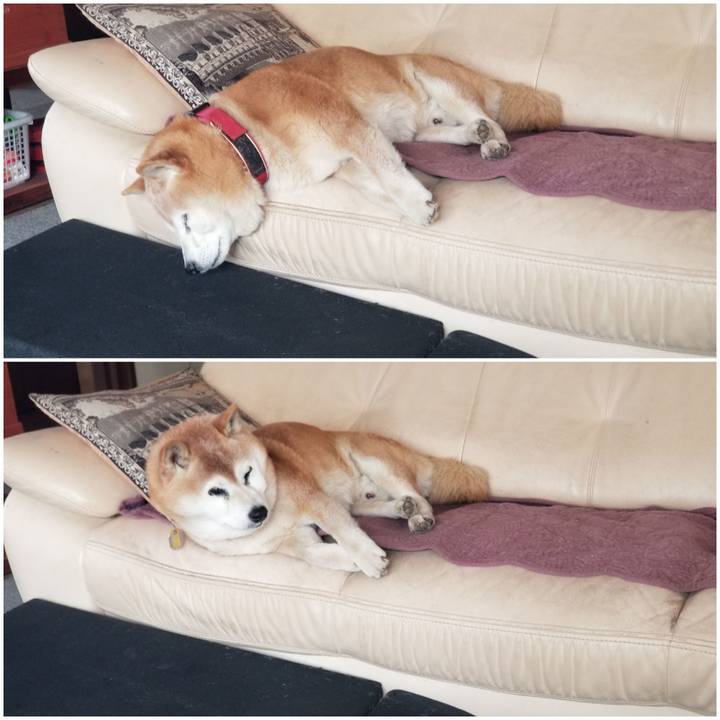 70f92224 fa75 43ae b012 90dc6ee60b1f 1745379231334