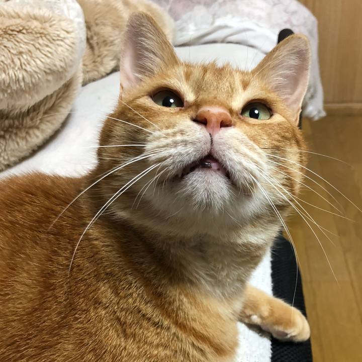 70f93daa cbde 4029 977e 58bc43210433 1620736372959