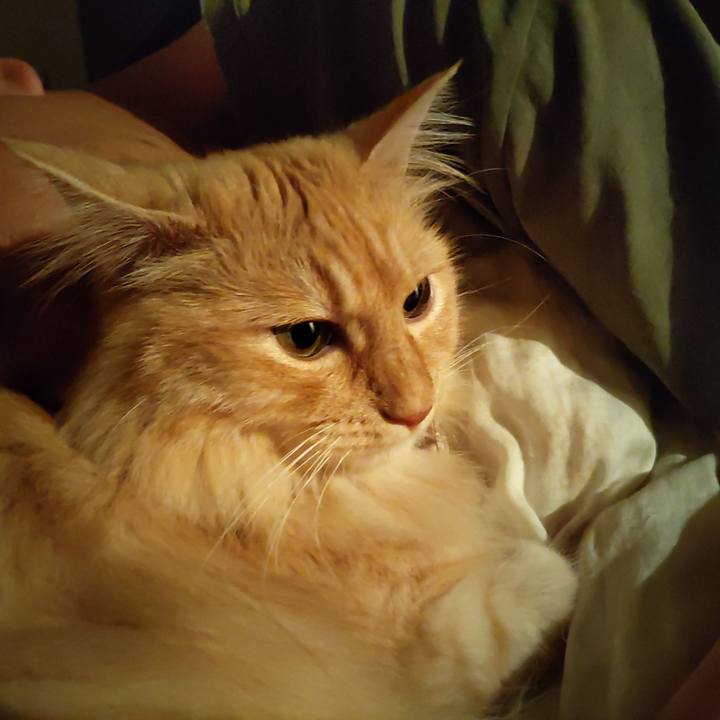 70f93f1d 17a5 4e51 8f0a 2af2de38c42a 1689256445196