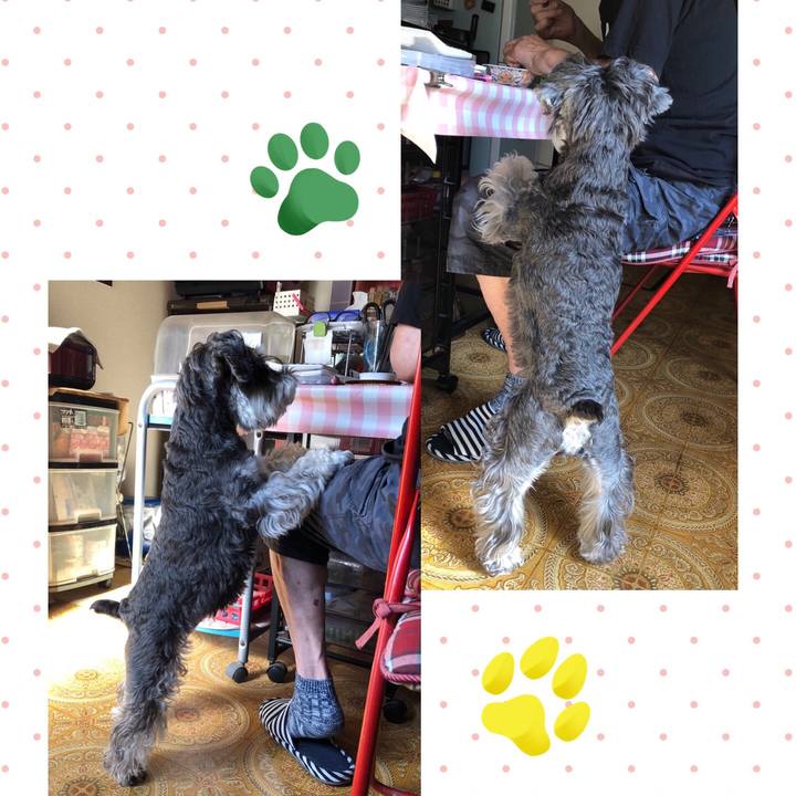 70f9505b 93d5 4a0d af3a 6ace17ebe54a 1664806719465