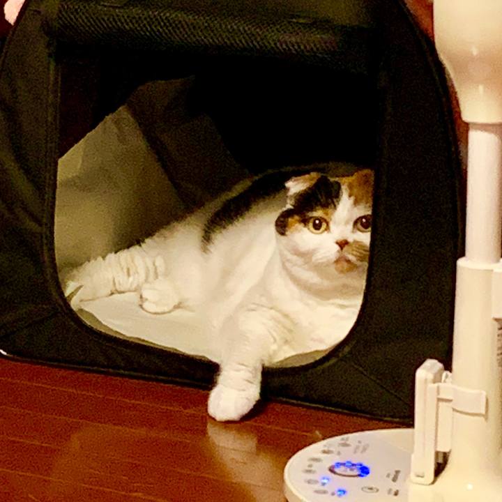 70f984cd 1102 45d1 bdce 4af25bb3716b 1564223320045