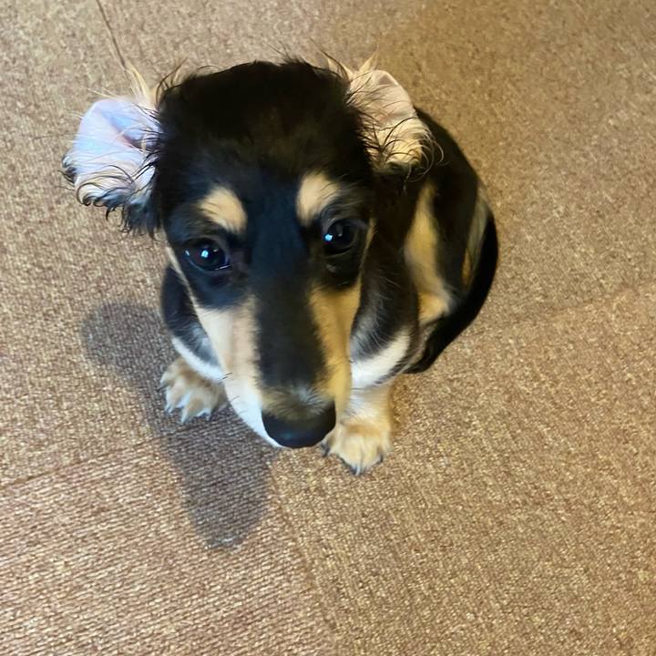 70f98aef e0bb 49a6 b476 aaae0afc8816 1668473733821