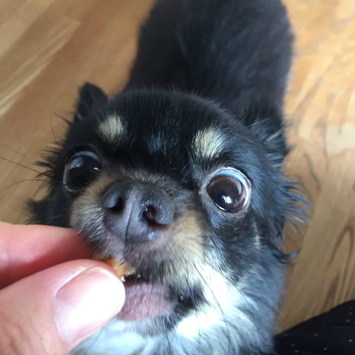 70f9a2d3 fe22 41ec a925 b2bb4edf6b8b 1529738208860