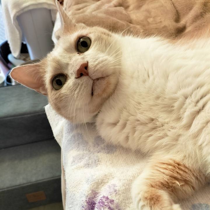 70f9d704 b433 4ca8 b0c7 676acecec2e5 1666736071307