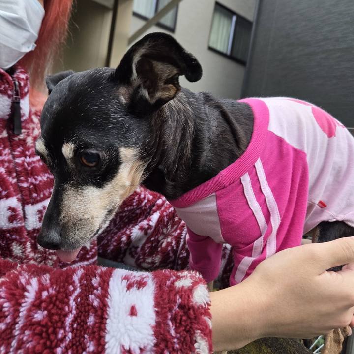 70f9e804 4d3a 4ae8 9dd7 a55bc0e78180 1773975922338