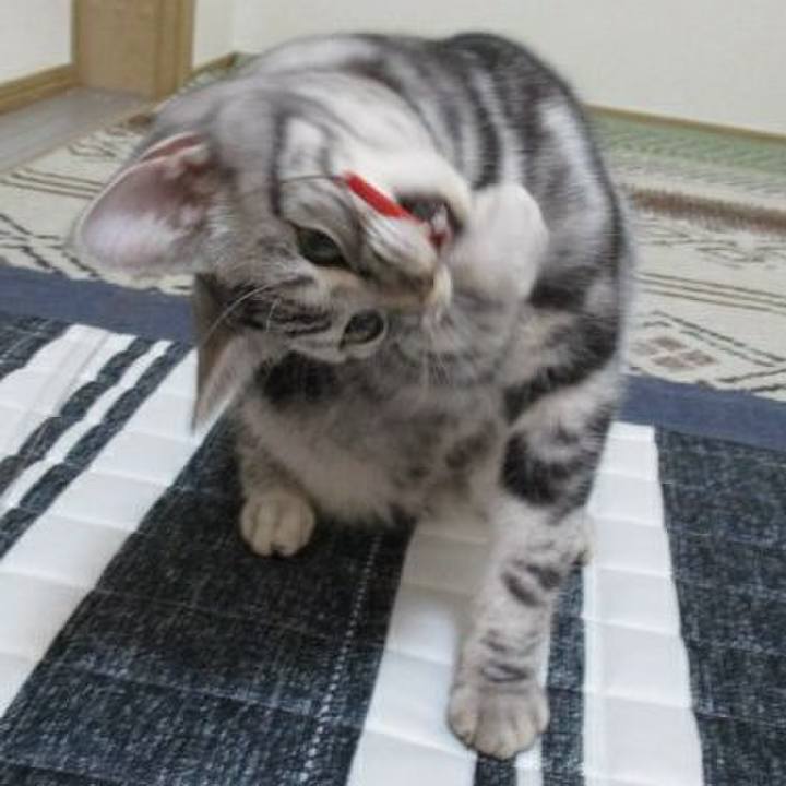 70fa135a 4df5 4a72 bde3 d2a0e24aa418 1542190124428