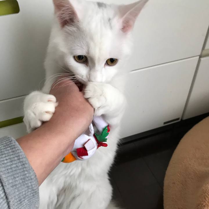 70fa36f4 cd3d 4d69 938c 4a6579b65aa1 1514771289519