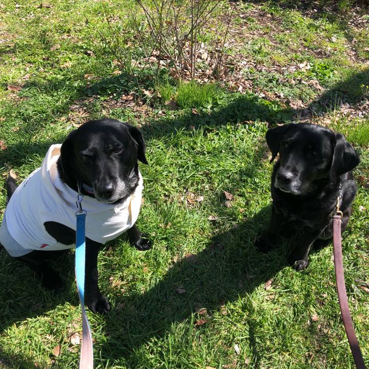 70fa3c97 0d51 4e8c a680 2c278d517c23 1552892551128