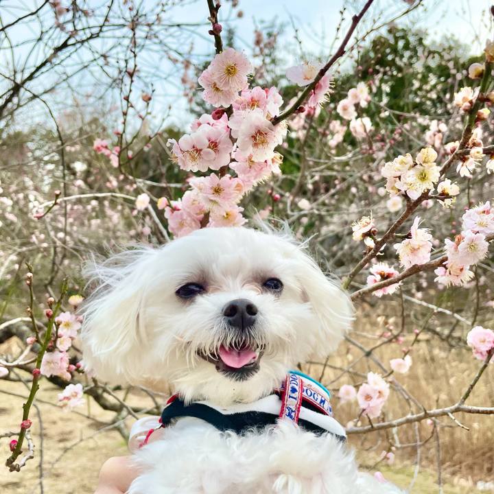 70fa3ddf 26ed 4f16 80a1 3eaf1f9597f8 1615086878718