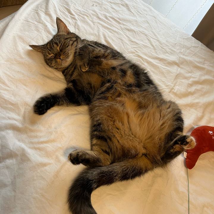 70fa45c0 bfc4 4e9b be62 f60a466fda0a 1665311232712