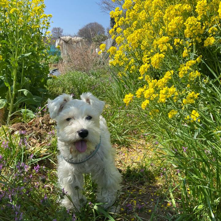 70fa7980 ec88 4fe9 a6cf 579610127a0a 1774532317918