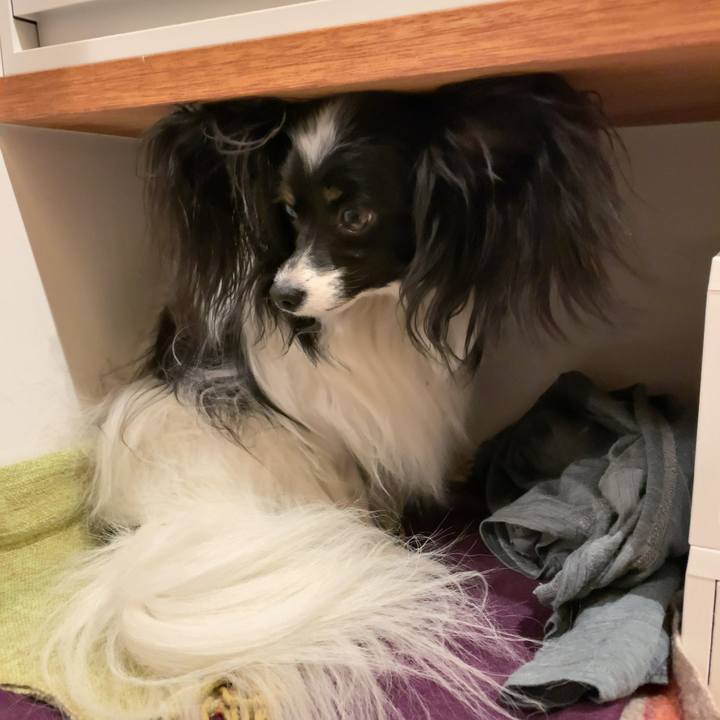 70fa86e9 641b 4515 999c 547ea7b3a071 1549286488784