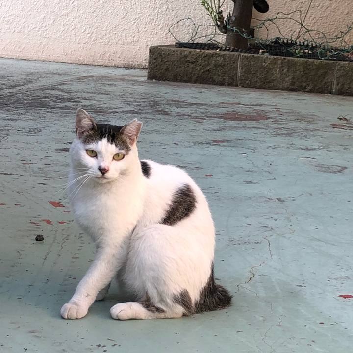 70fad568 956c 41fa 9b3f f493f7bca8ca 1533846950430