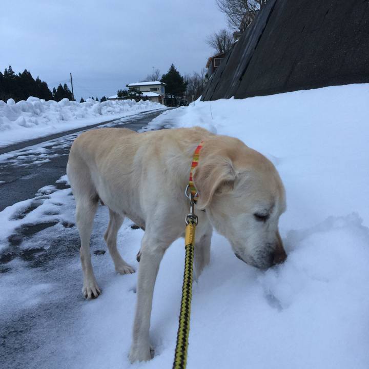 70fad7aa b4ef 434f 97d1 1f6ace6a17ad 1515312815697