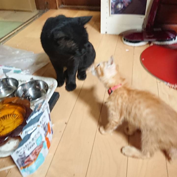 70fb1bc2 c8e1 4ceb b16e 1cb007f5f1ce 1628249760385