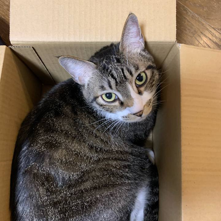 70fb3a2b 01e0 4449 8deb 810ccc562e49 1582374747679