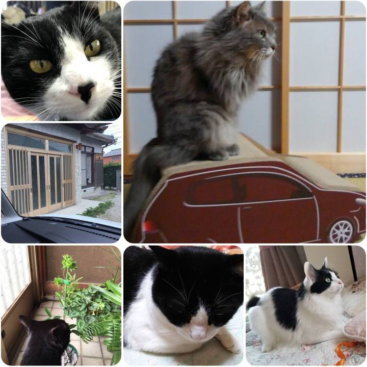 70fb41d4 30c1 424e a19f 4c2ede2a4ab4 1558096191678