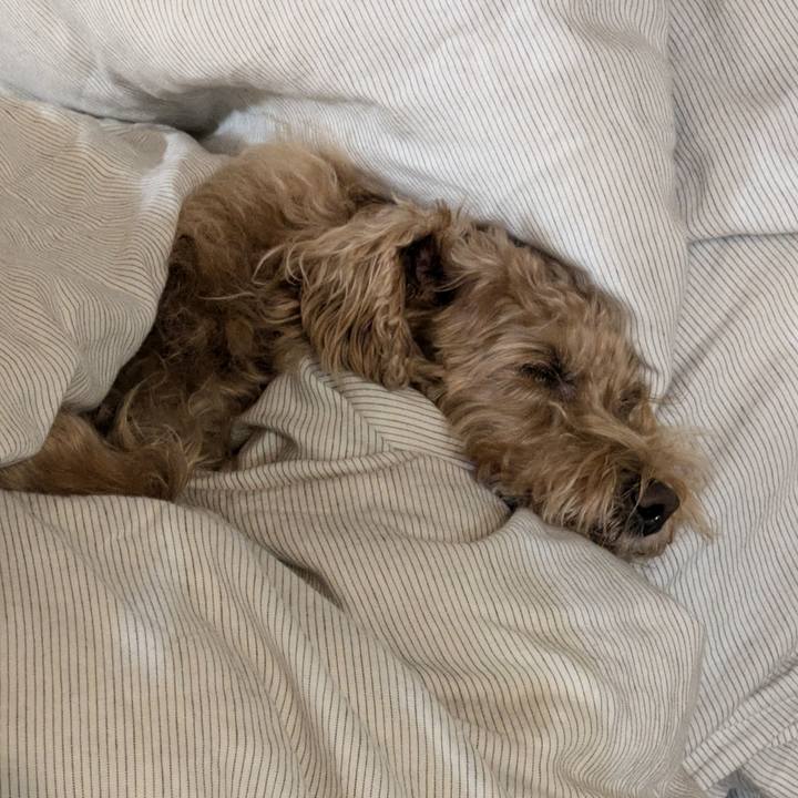 70fb9692 2b67 4b38 b342 e9a22a479516 1729498596698