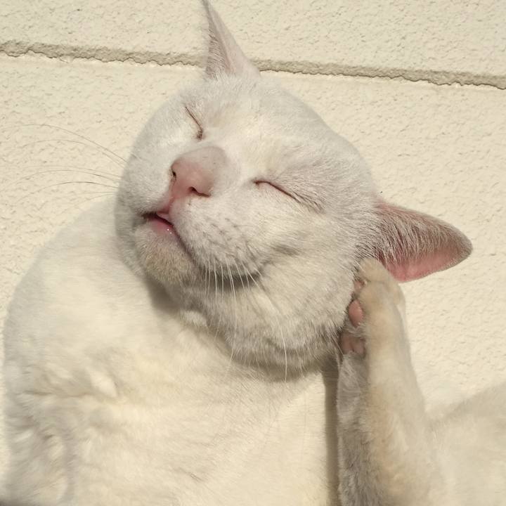 70fb9b54 d33c 488f a8c0 cc960a587b5f 1514850945829