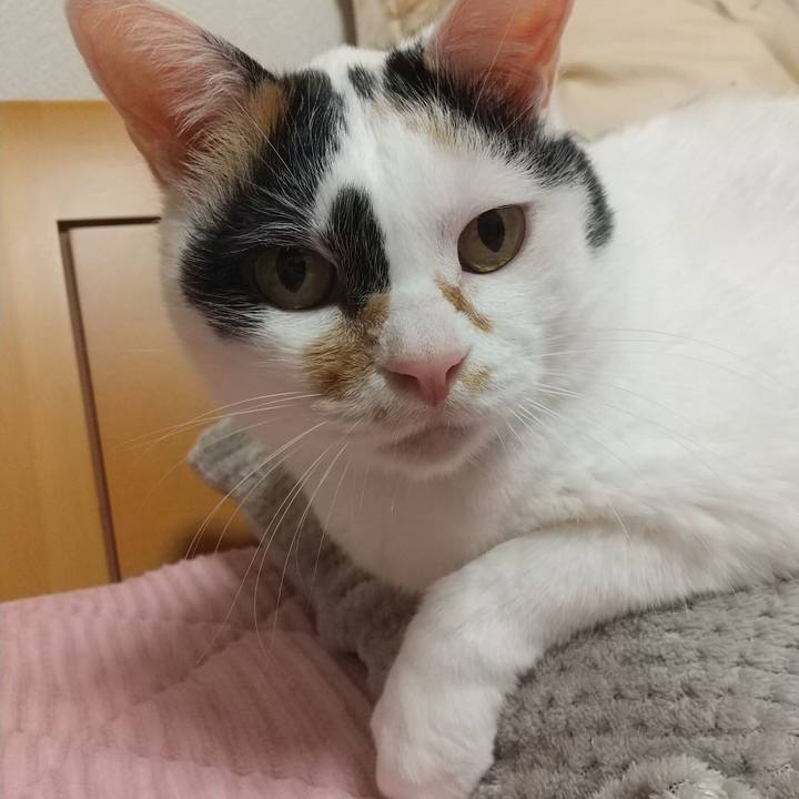 70fbbd4b 89e1 4ce0 86eb 83520ee7c702 1639316727793