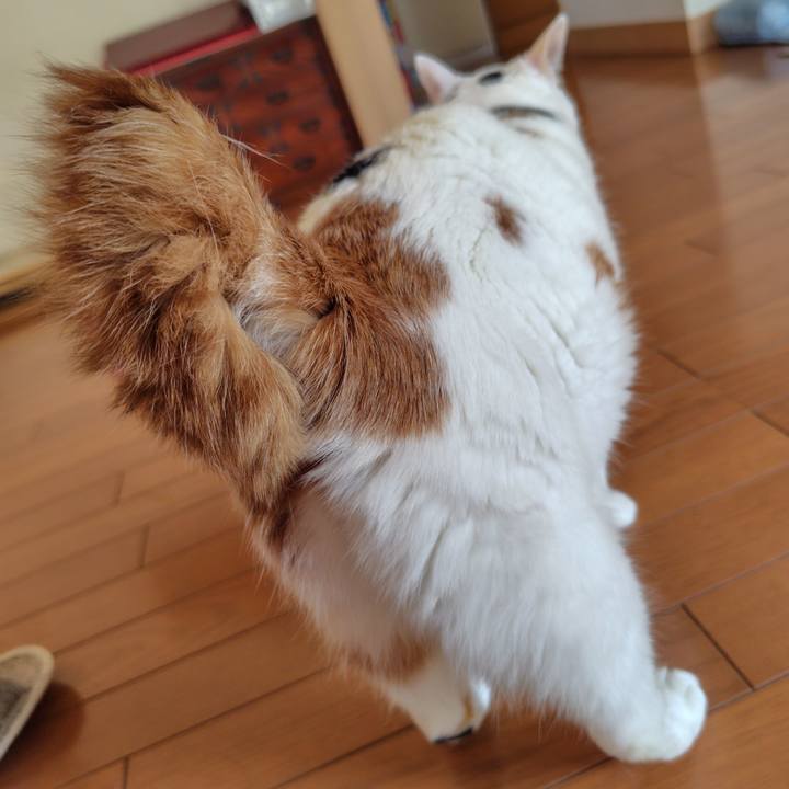 70fbc532 835e 4d58 80f2 e193d91c46f3 1727392296170