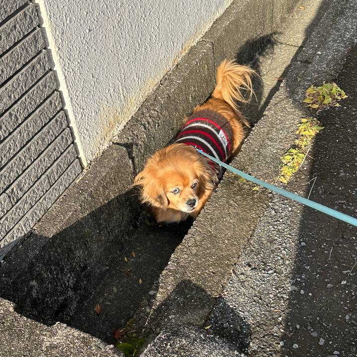 70fbc78e 417c 4e6b 87a6 b6a2a227d8a5 1735437713008