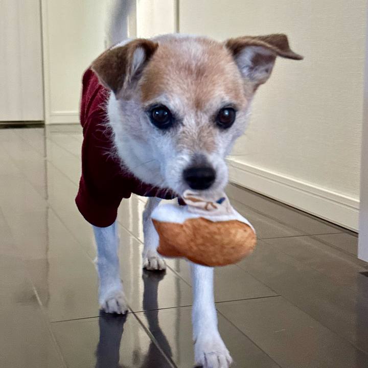 70fbdd21 476f 4ecb bdbf 8929b4b2b18d 1672489820939