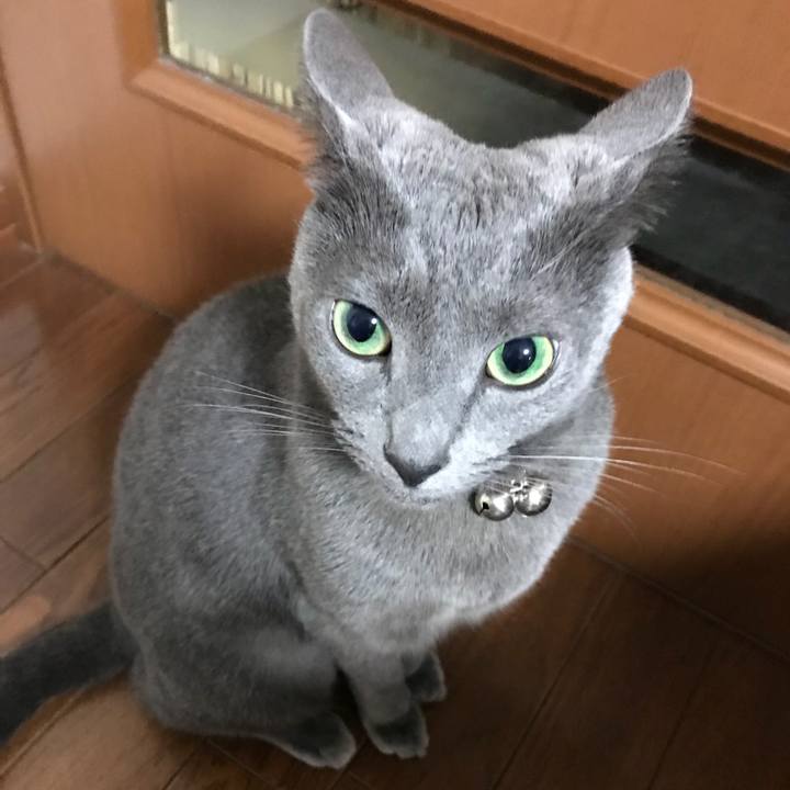 70fc8872 517c 47e4 8ece 150f6c804d49 1512312874526