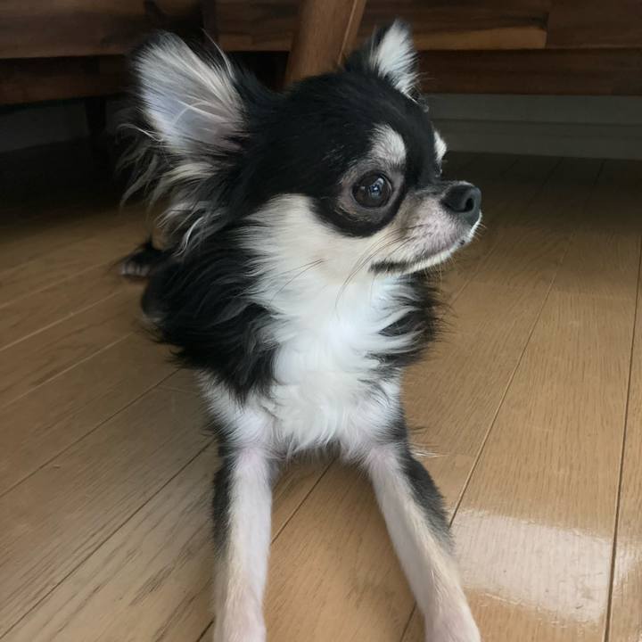 70fc983a 4ae1 4632 b987 a113c104dc91 1603319179946