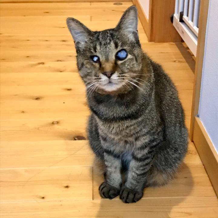 70fce549 6af9 4999 b9ba 5b579e9b04aa 1623235222756