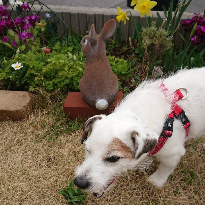 70fd168e 0242 4b94 a282 5a2c469c2ab1 1520462555473