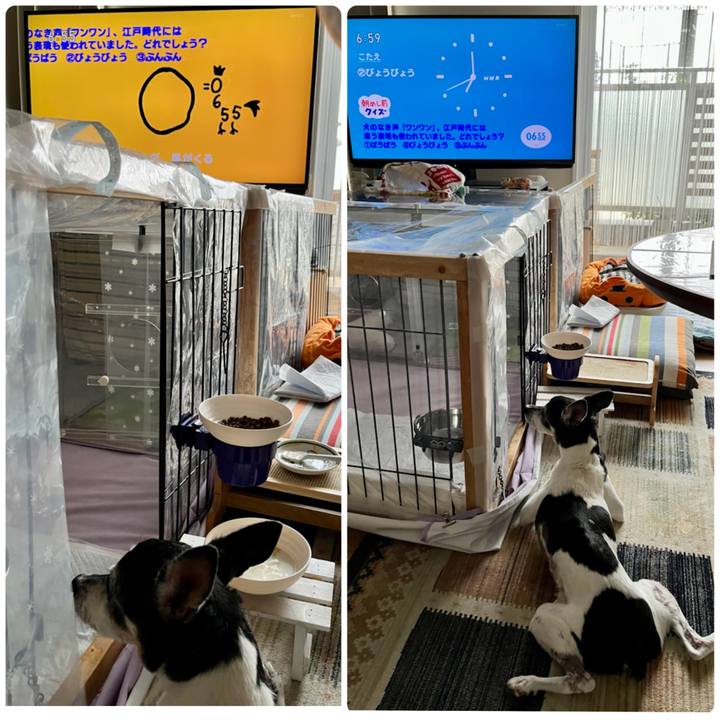 70fd4cfd 3039 4f42 a75f a842e8c12bd3 1658873062947